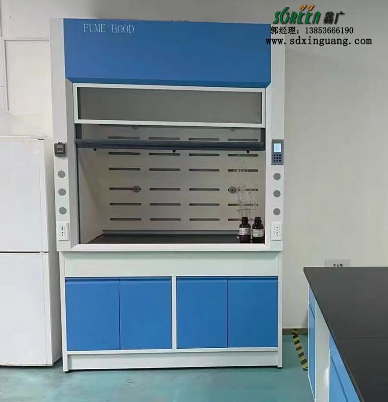 山東實驗臺廠家實驗室全鋼通風(fēng)柜桌上型排風(fēng)櫥