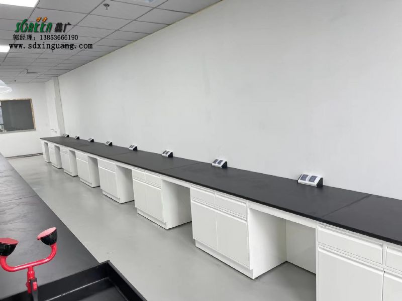 濰坊試驗臺廠家實驗臺家具全鋼試劑柜廠家供應(yīng)
