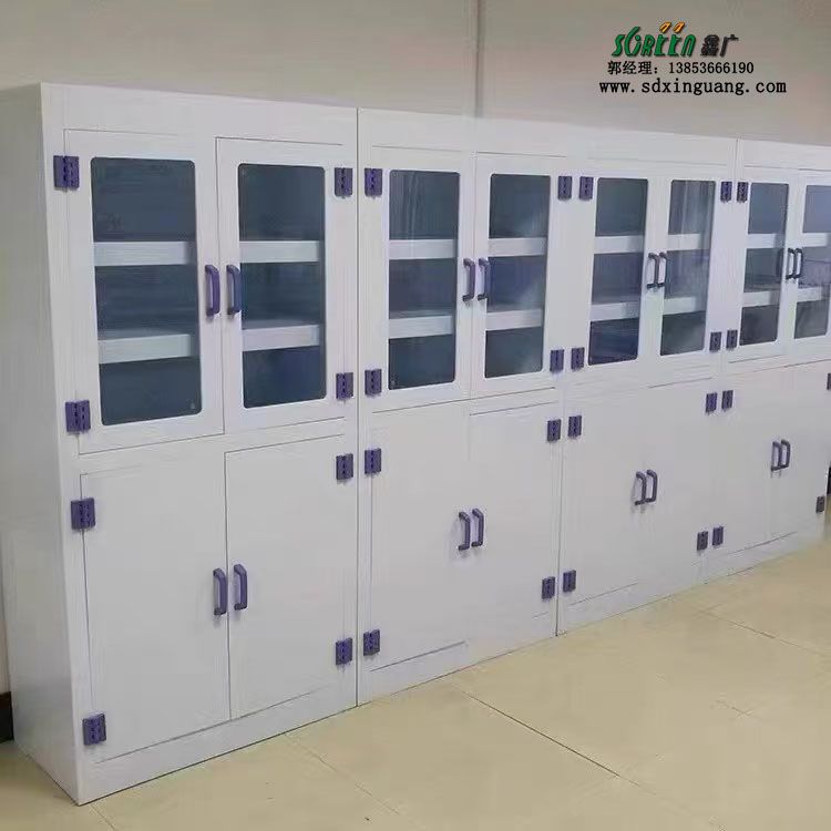 濰坊實驗室家具pp試劑柜實驗室器皿柜供應(yīng)