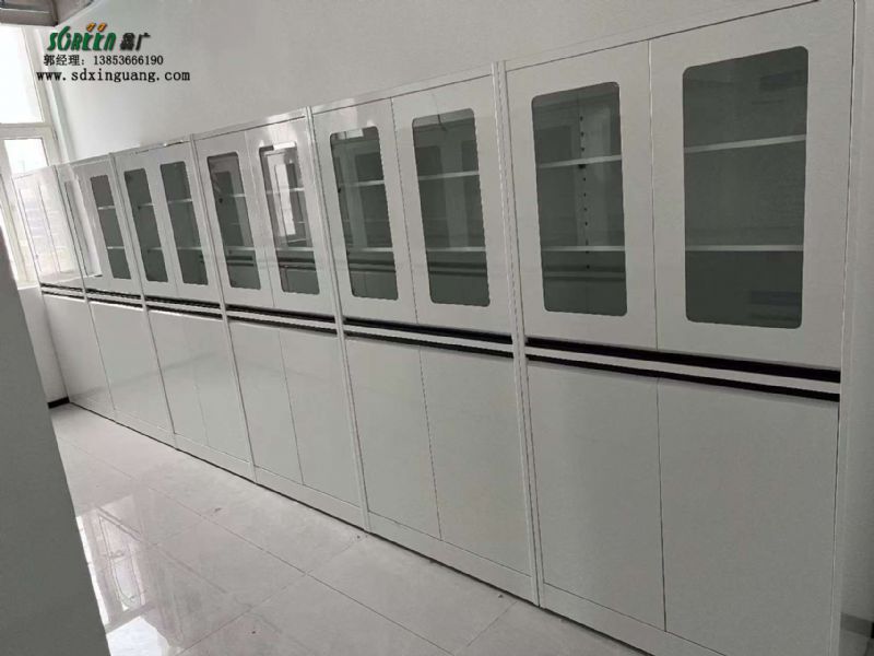 濟(jì)南實(shí)驗(yàn)臺(tái)廠(chǎng)家 全鋼器皿柜 實(shí)驗(yàn)室試劑柜可定制