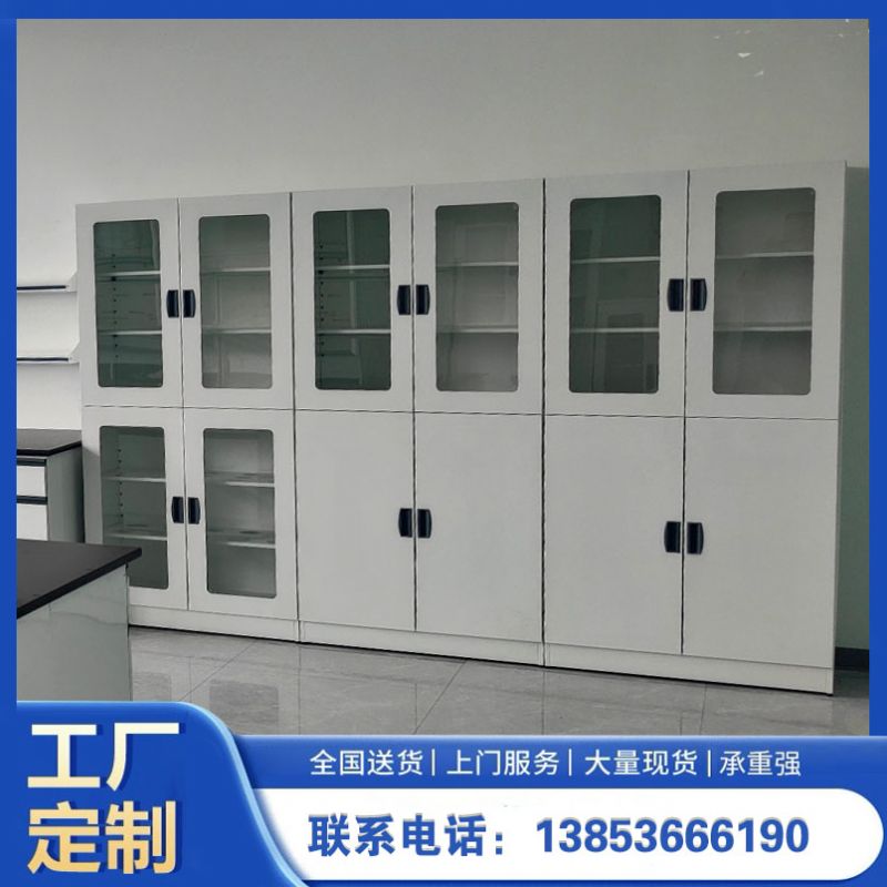 山東實(shí)驗室設(shè)備實(shí)驗室器皿柜 化驗室試劑柜